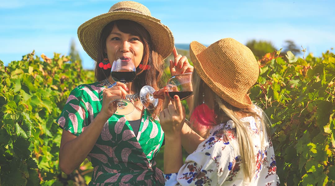 Jersey Wine Tasting