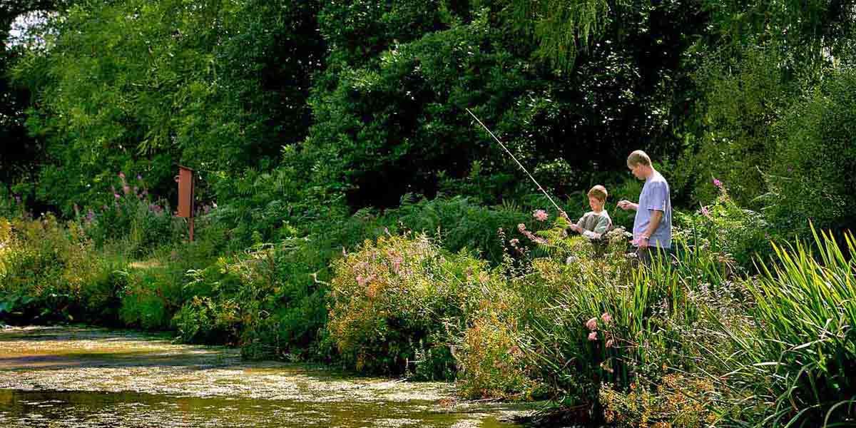 Man and child fishing in a river