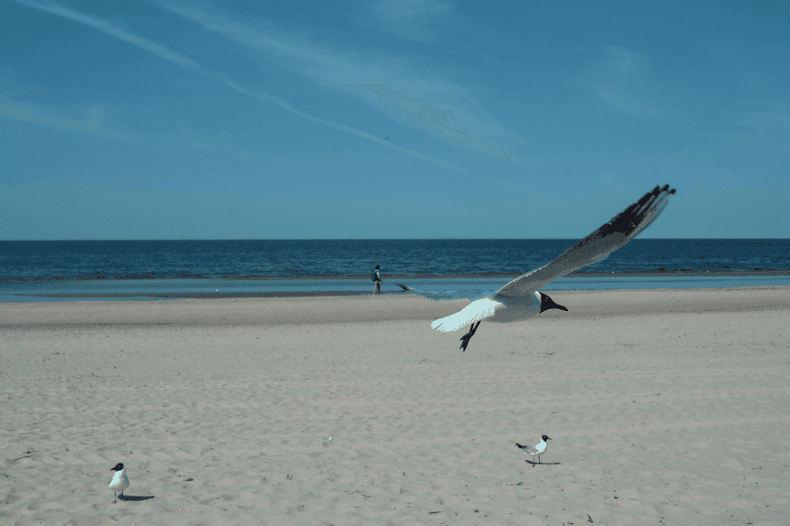 Jurmala in Latvia