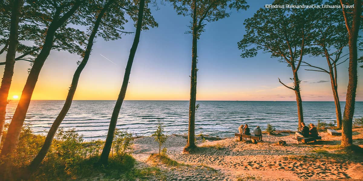 Meer und Bäume