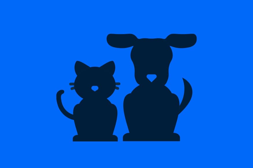 Welcoming pets