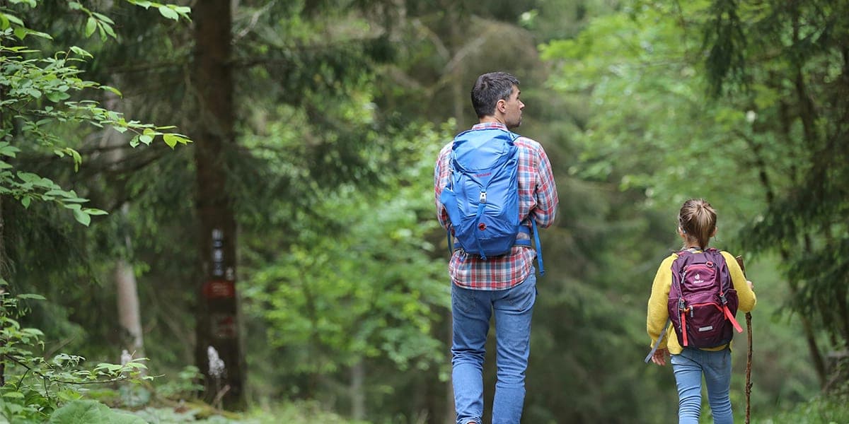 Hiking in the Baltics