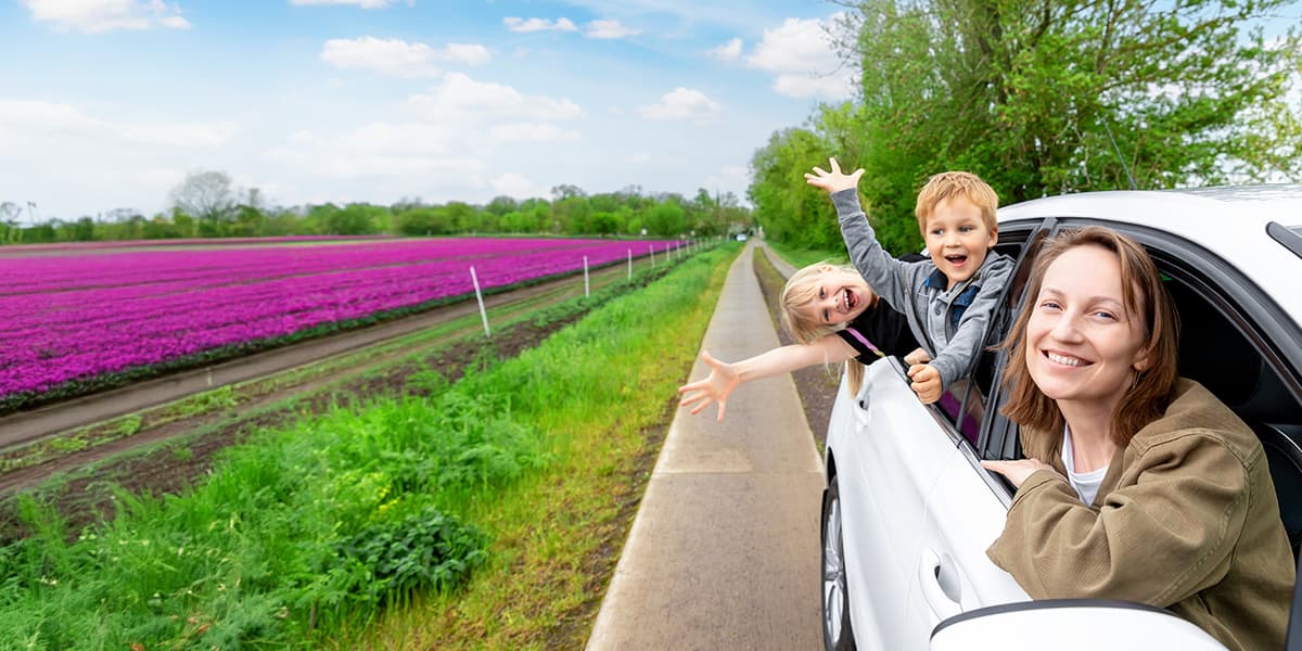 driving in Netherlands - Hero