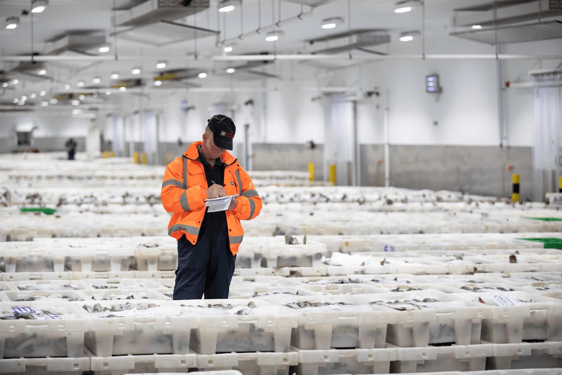 DFDS Cold chain warehouse