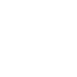 Holmen logo white