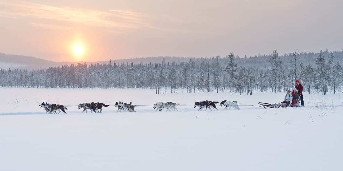 Sweden - dog sledding adventure - PhotoCredit Anna Ohlund