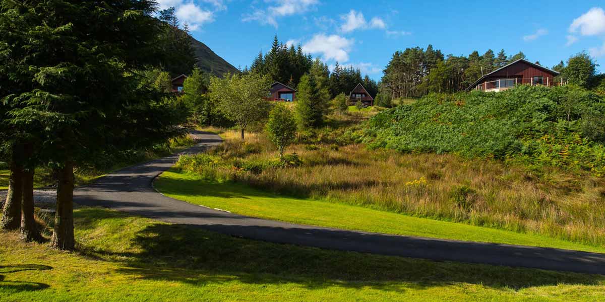 Greenery in Portnellan, Scotland