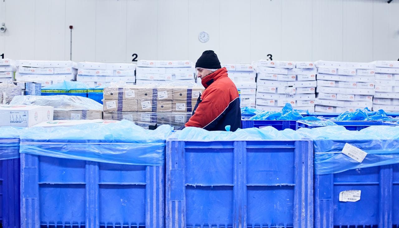 cold chain, warehouse, worker, blue boxes