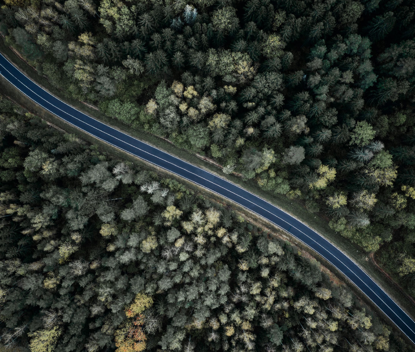 Forest, road, graphic