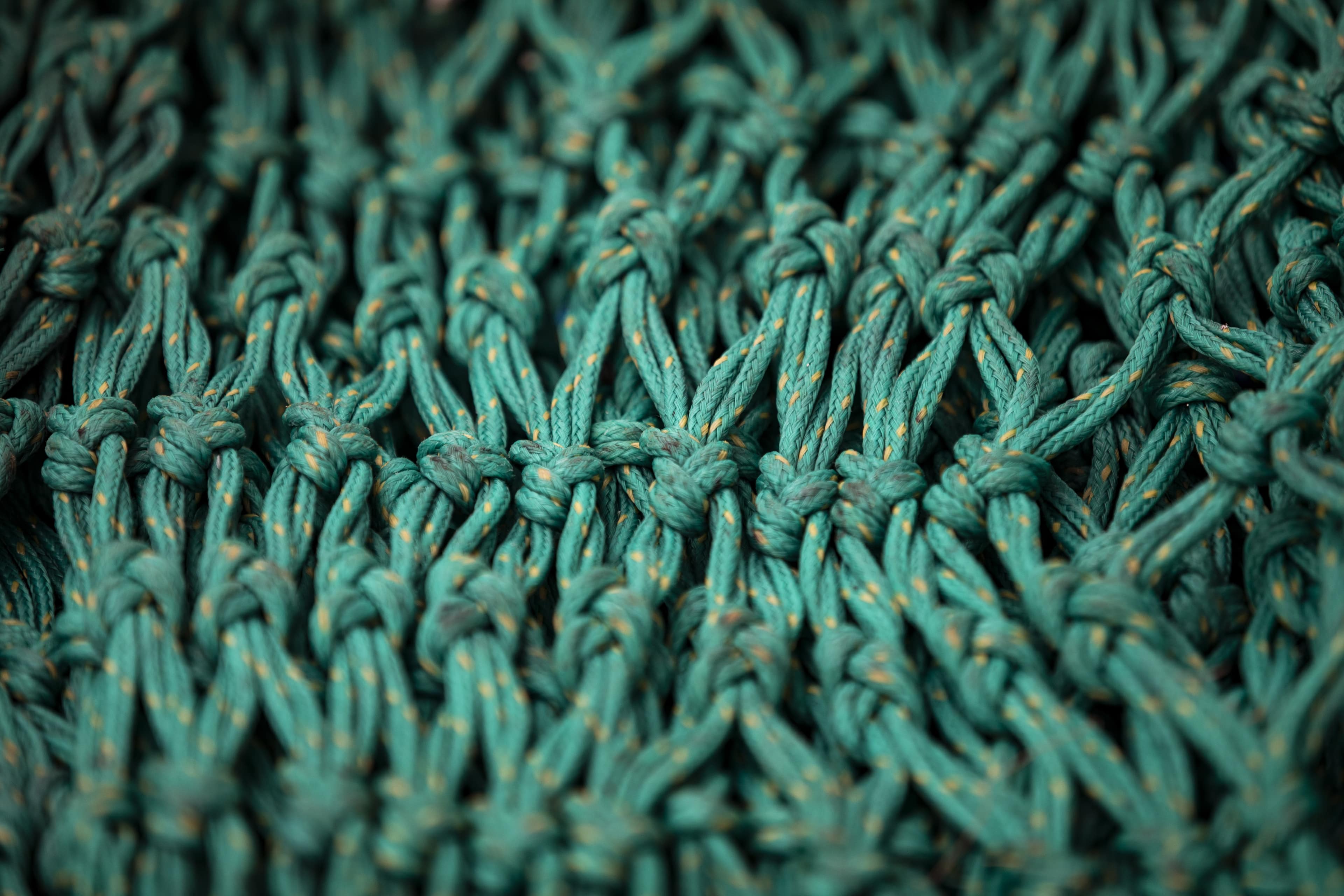DFDS, Green rope ties for understanding decarbonisation