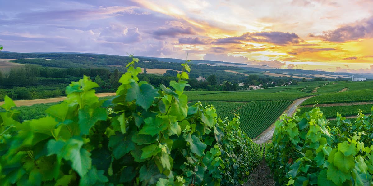 Nouvelle Aquitaine hero