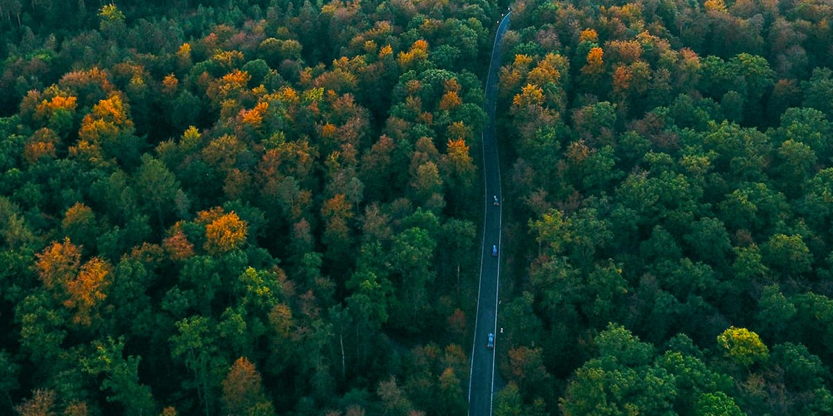 Black Forrest Highway, Germany