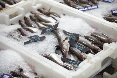 Cold chain seafood