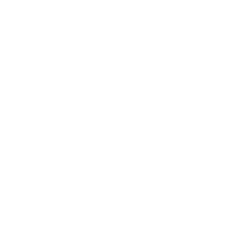 Norske Porter logo white