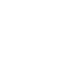 Norske Porter logo white