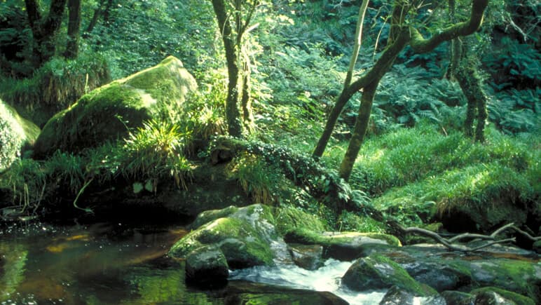Bodmin Cornwall - co VisitBritain
