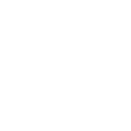 bmgs logo white