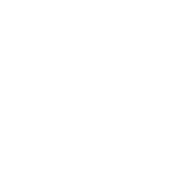 bmgs logo white