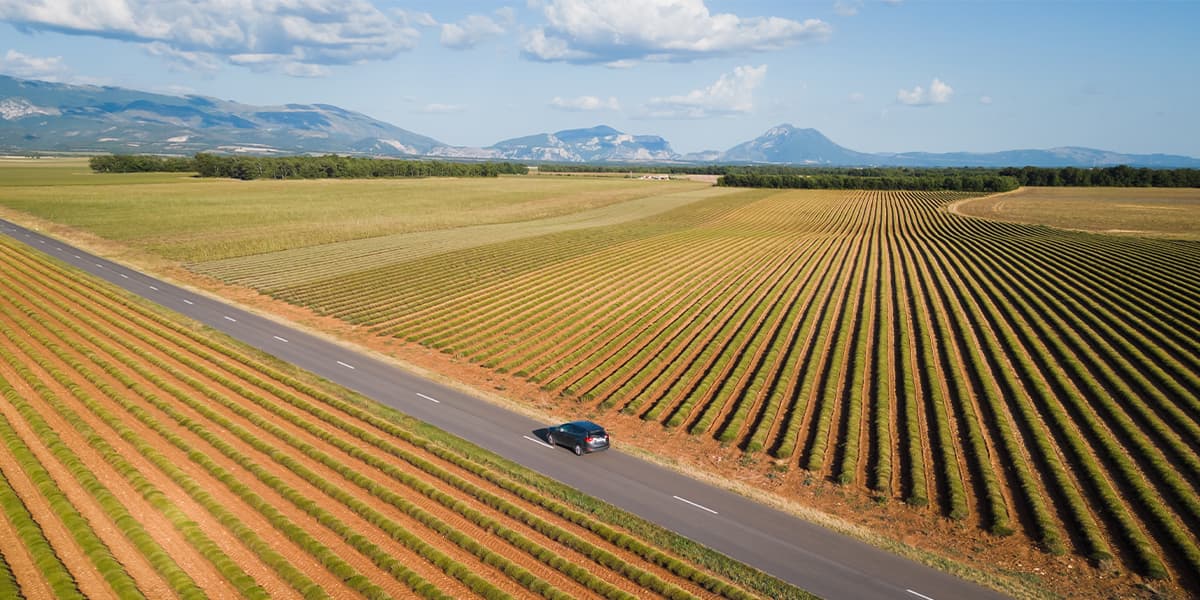 The Perfect Road Trip to The South of France