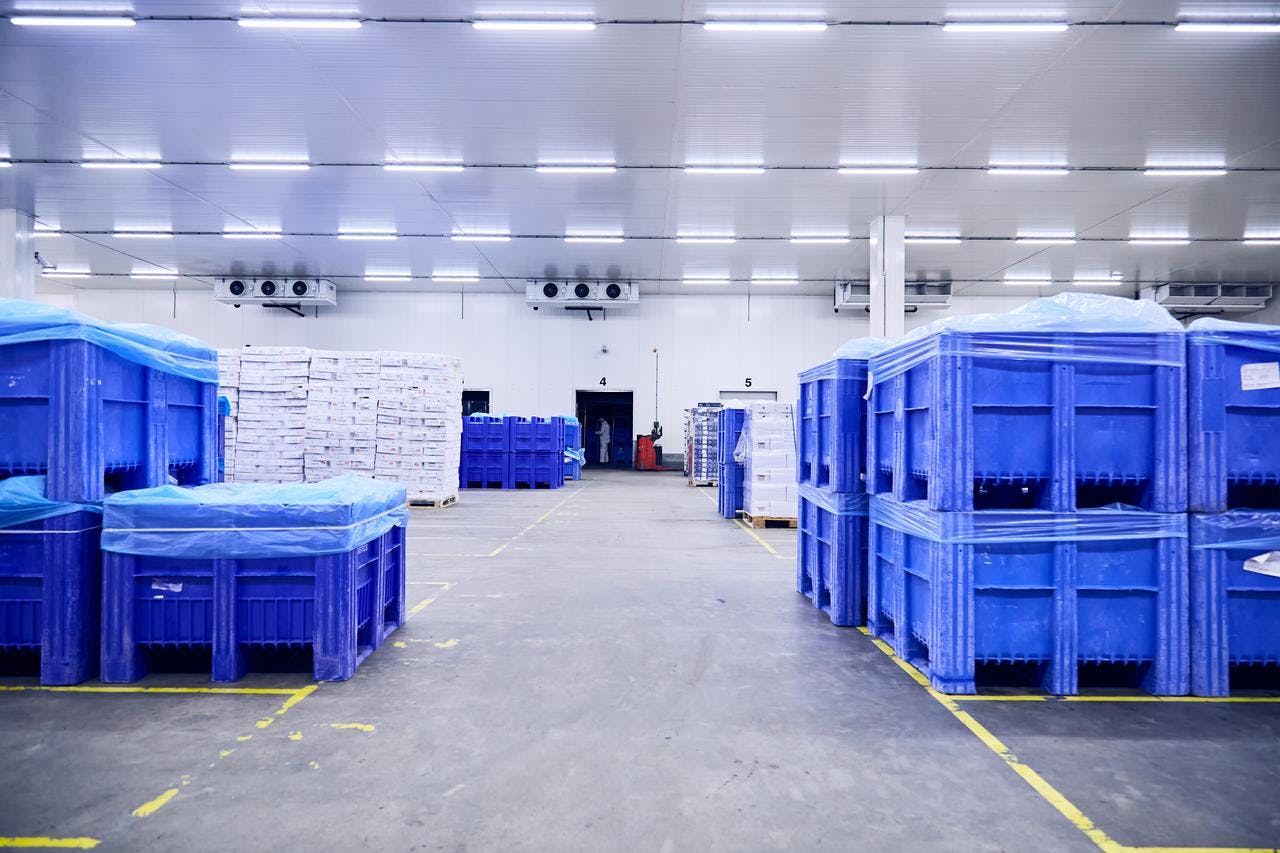 Cold storage warehouse DFDS