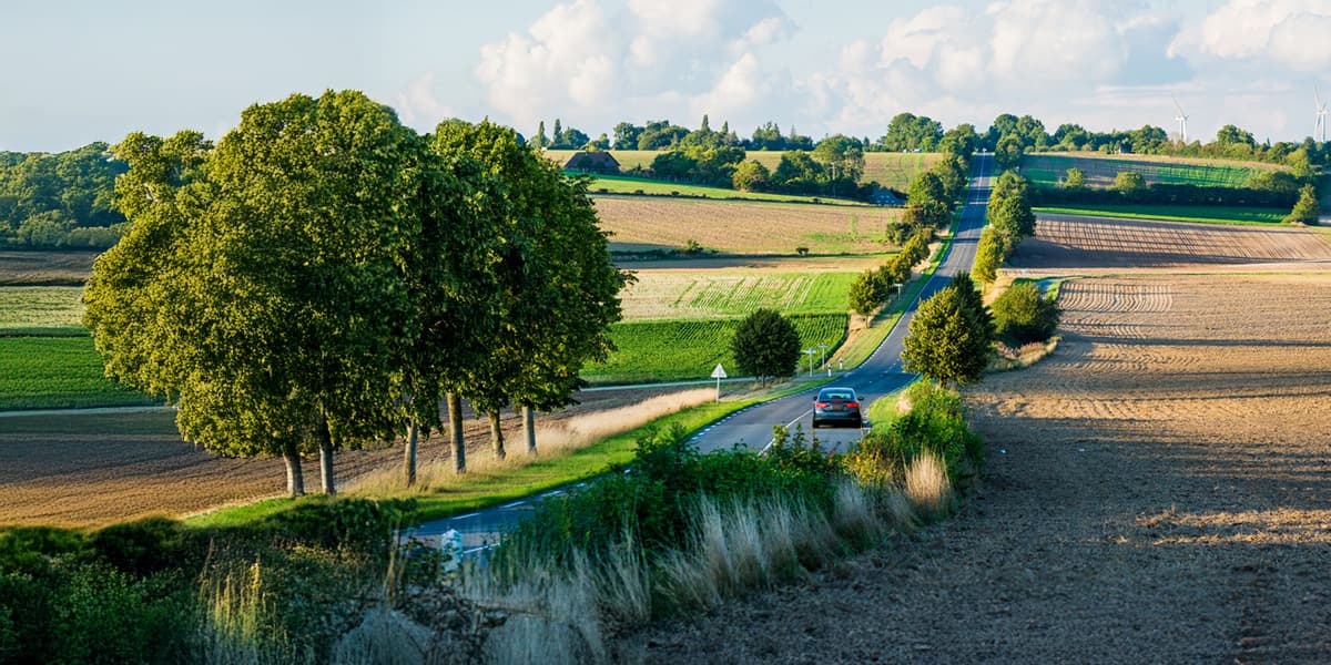 Driving in France Hero