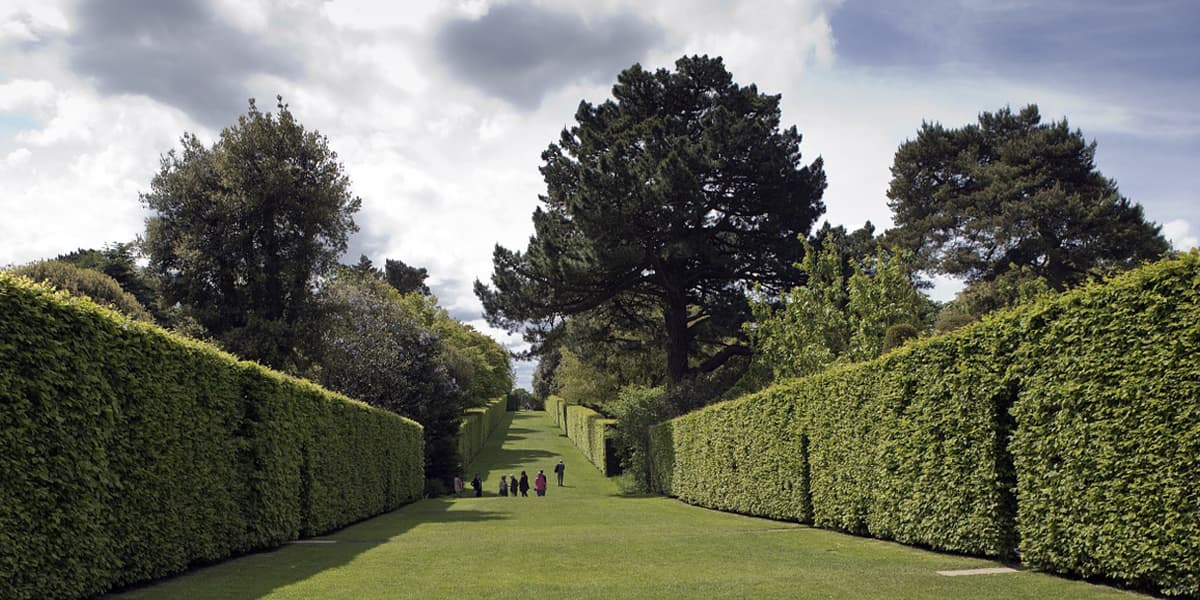 UNI 1200x600 hidcote manor long