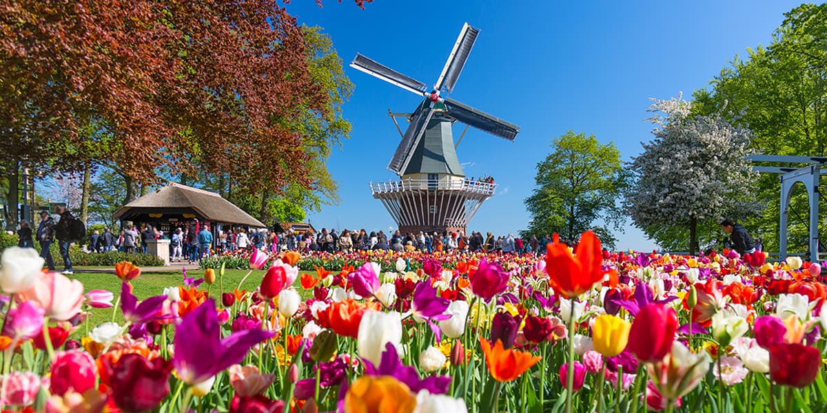 top events in Holland - Windmill