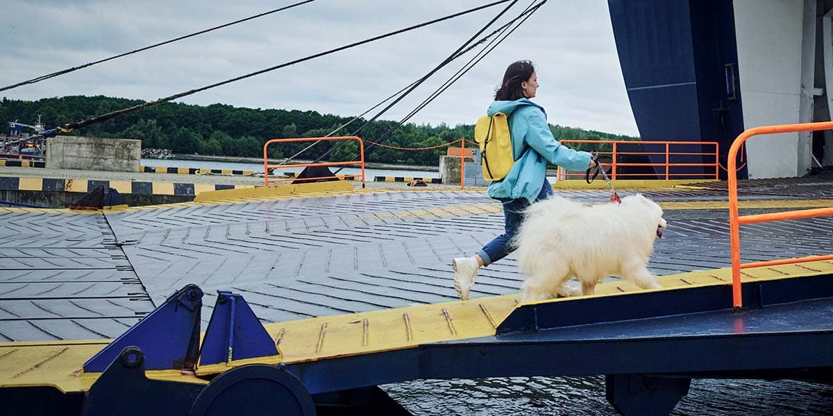 Pet travel with DFDS