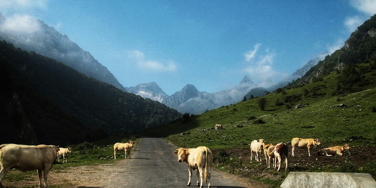 Pyrenees Mountain Passes Motorcycling in France
