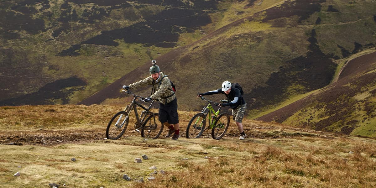 FR-AN-25-09-Web-Activities-1200x600