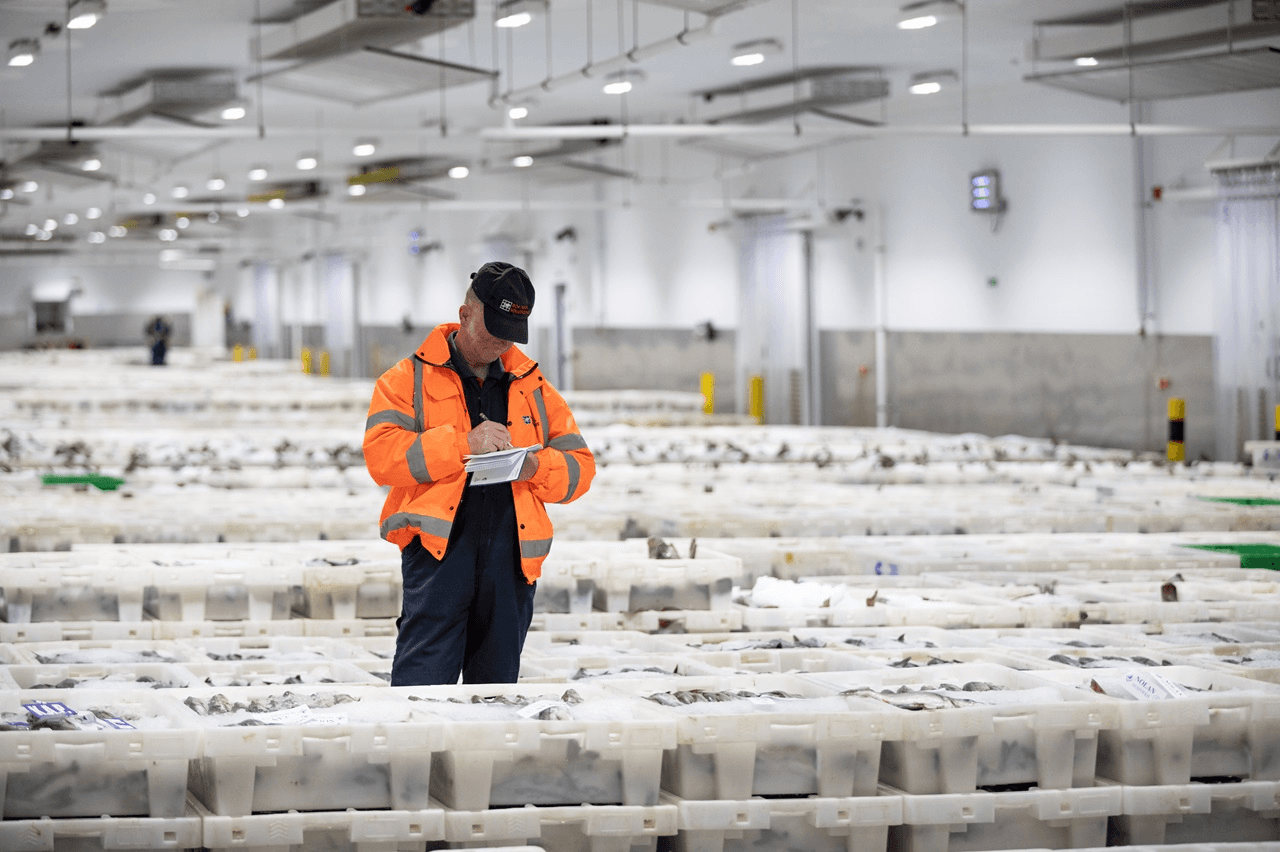 Seafood logistics | Fish and Seafood | DFDS (INT)